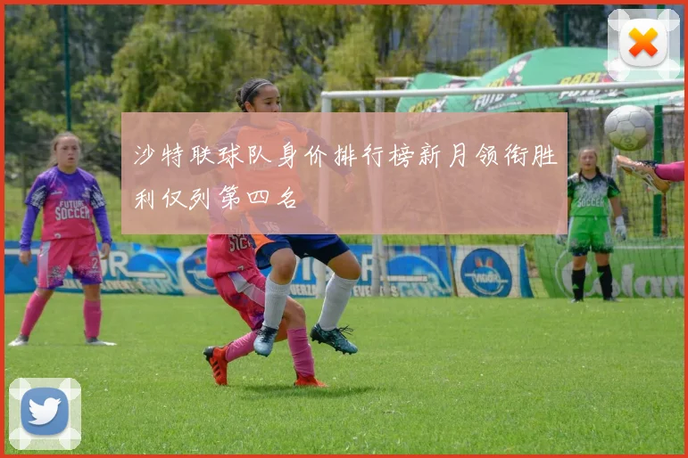 沙特联球队身价排行榜新月领衔胜利仅列第四名