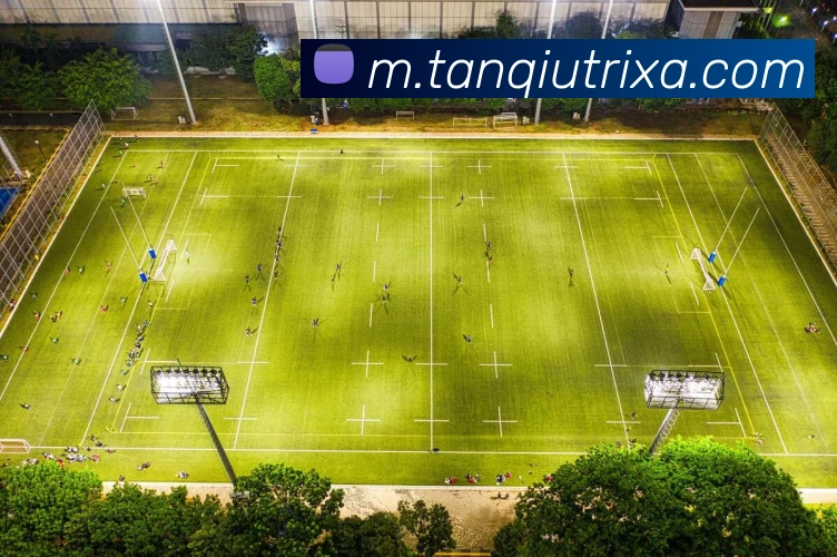 谈球体育平台生态图