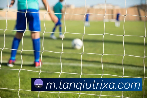 谈球体育全站App